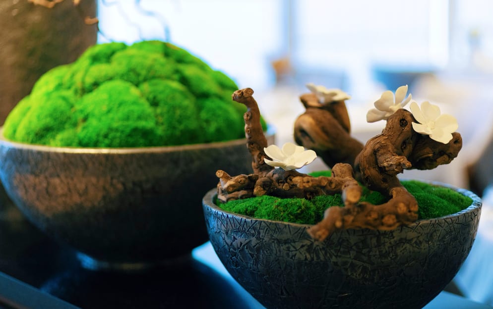 Azamara Cruises Aqualina Dining ©Jenna Lyn, Azamara Cruises2.jpg