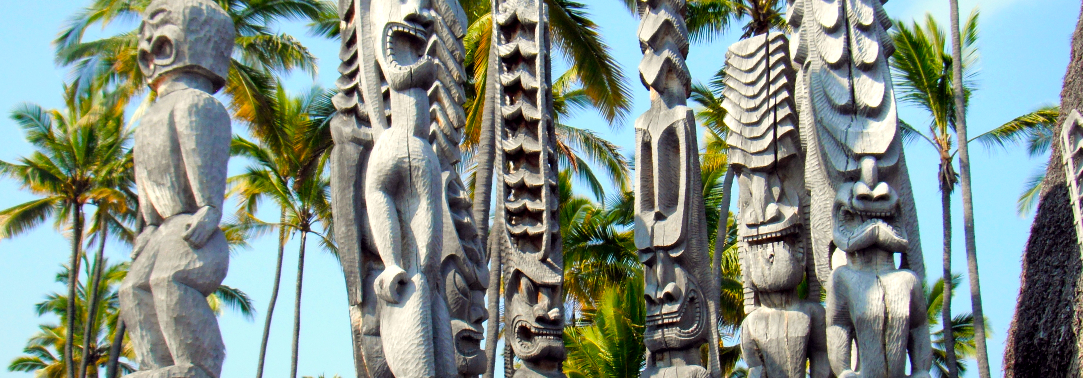 Hawaii Special Offers