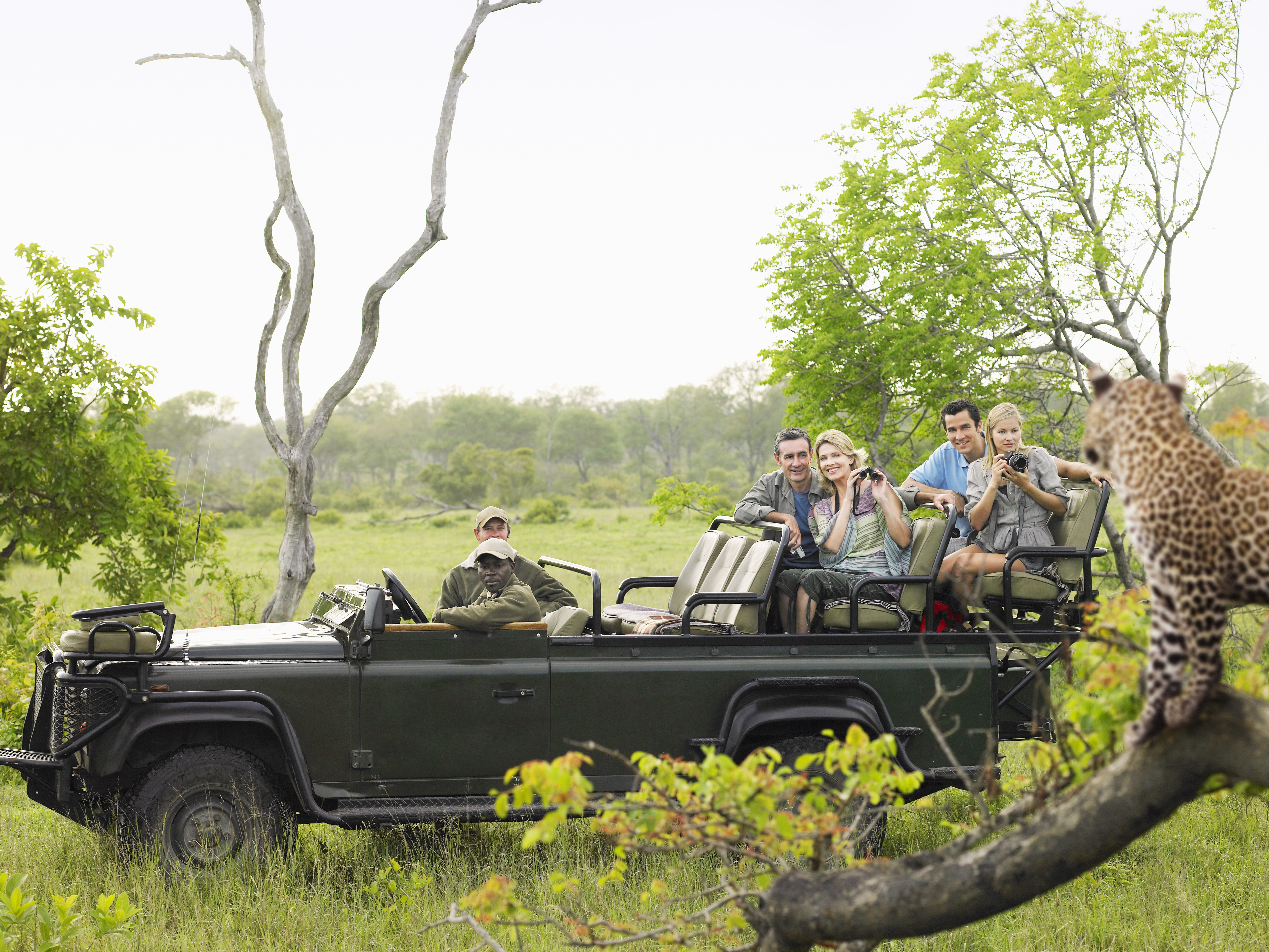Kruger National Park Hotels