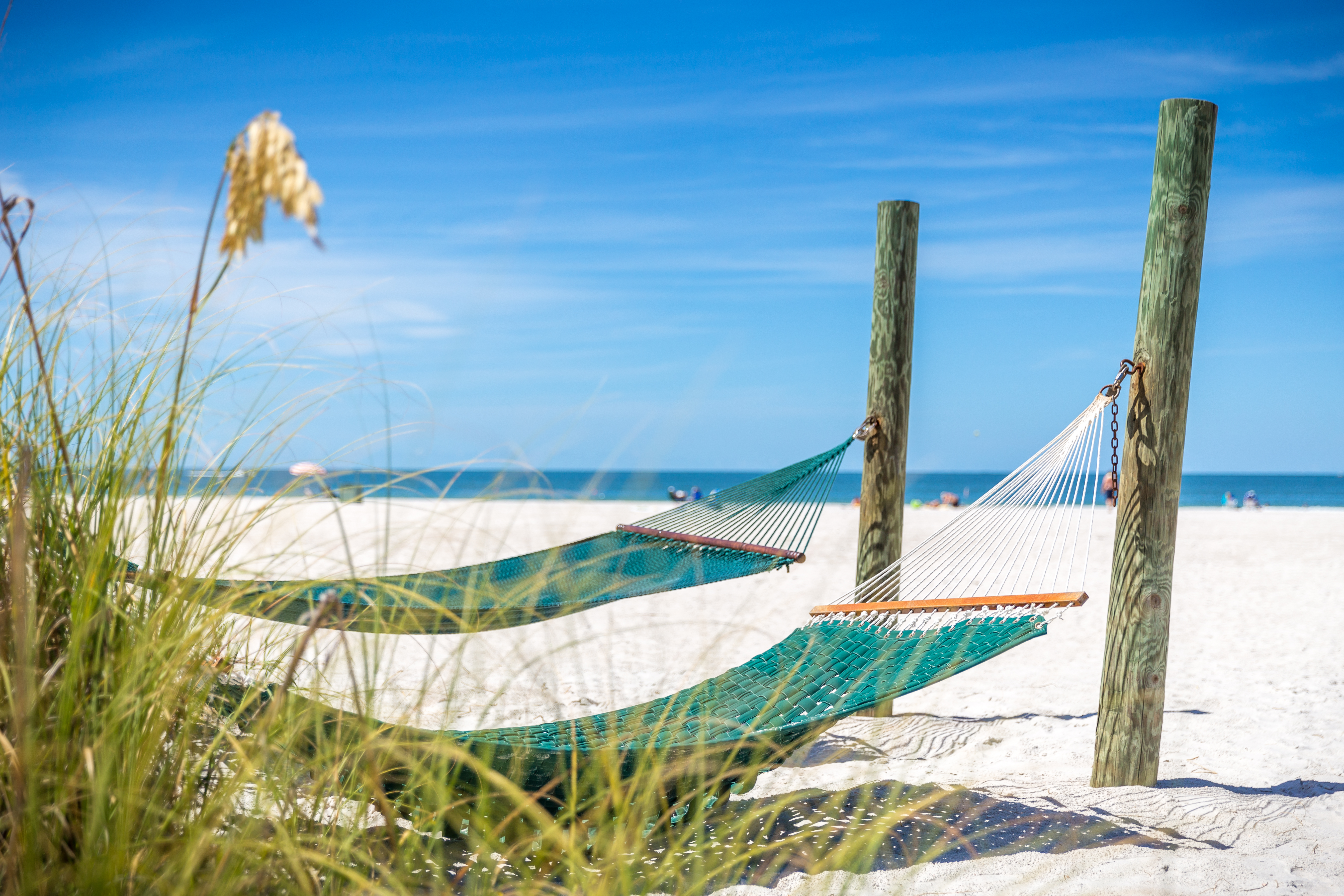 Walt Disney World & St Pete & Clearwater