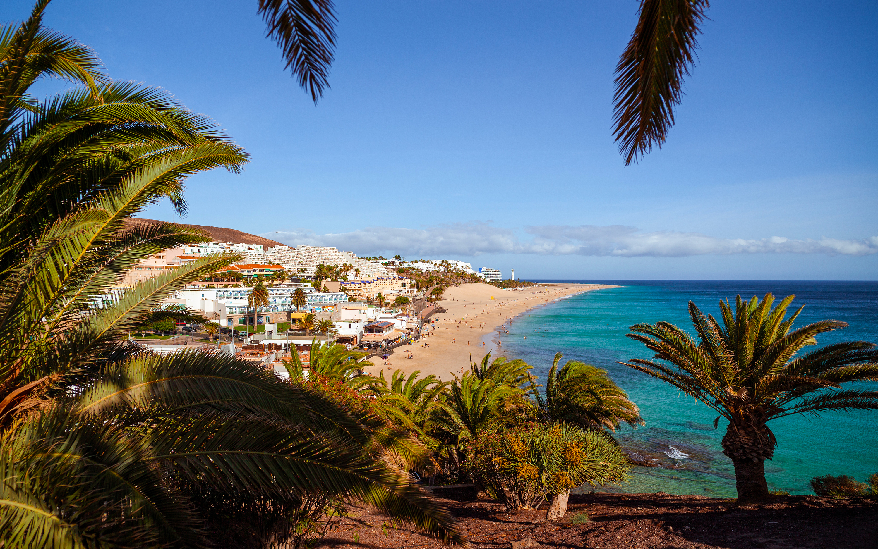Fuerteventura Holidays