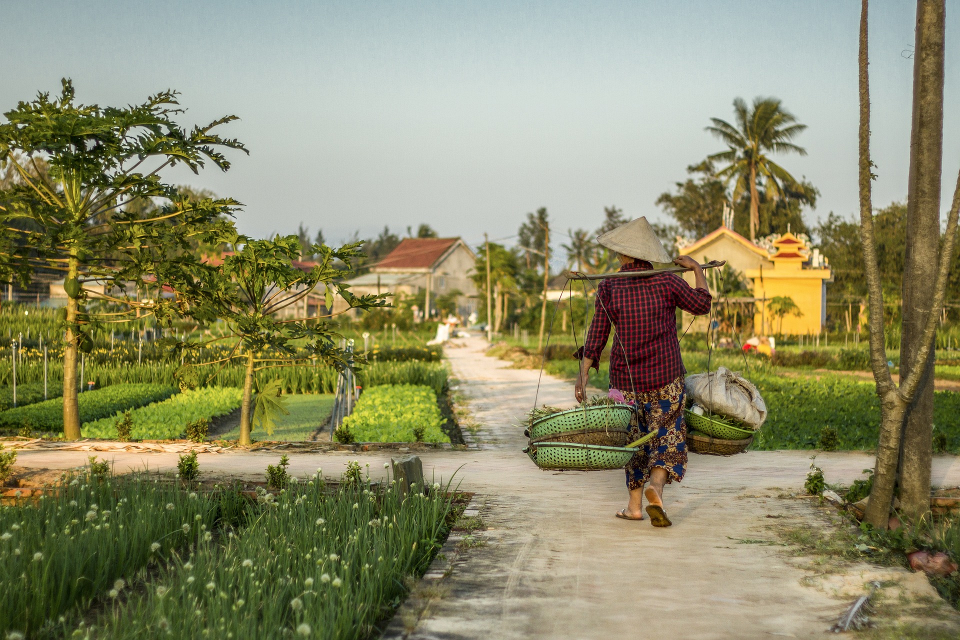 Hoi An & Da Nang Hotels