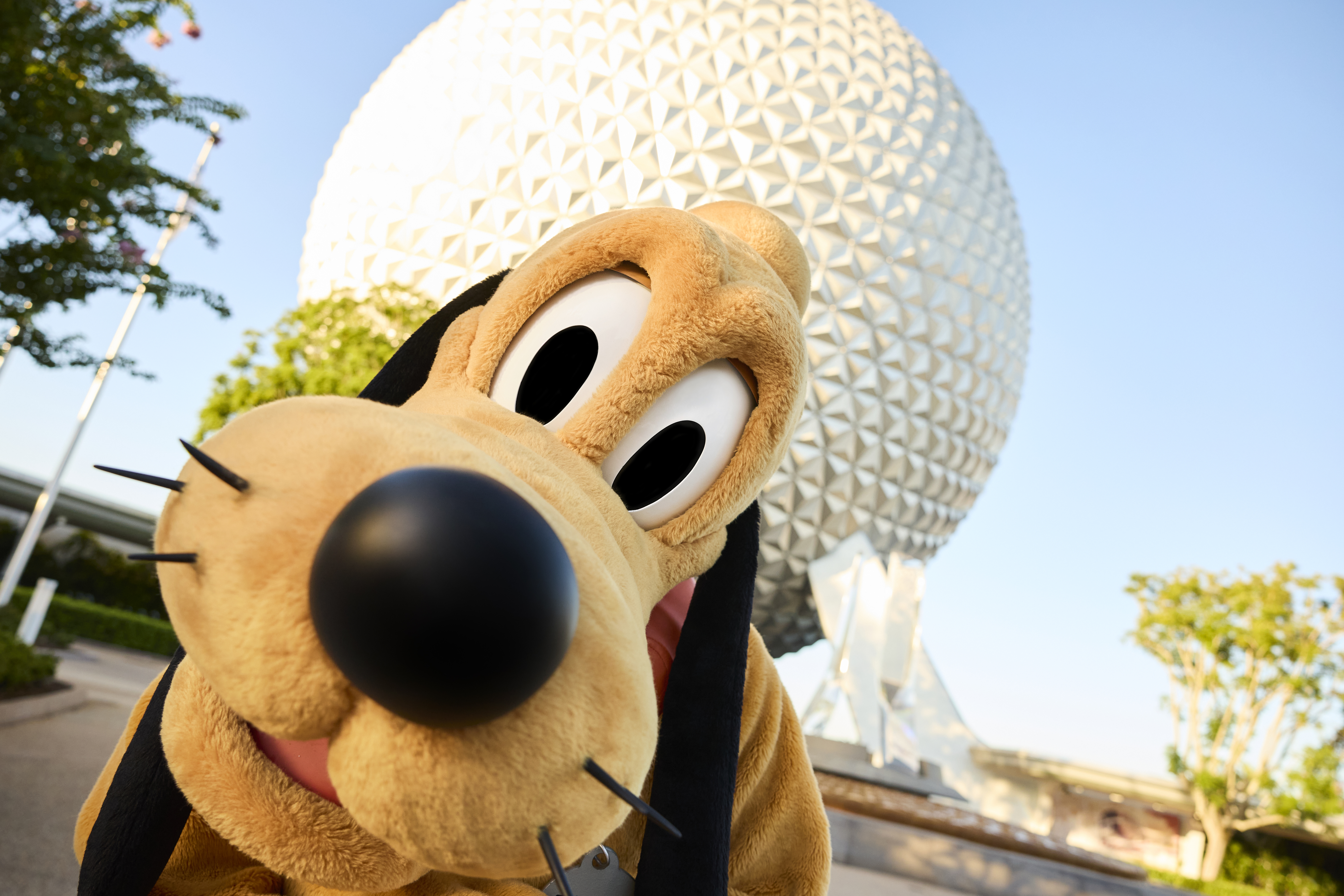 Walt Disney World Resort & Disney Area Villa