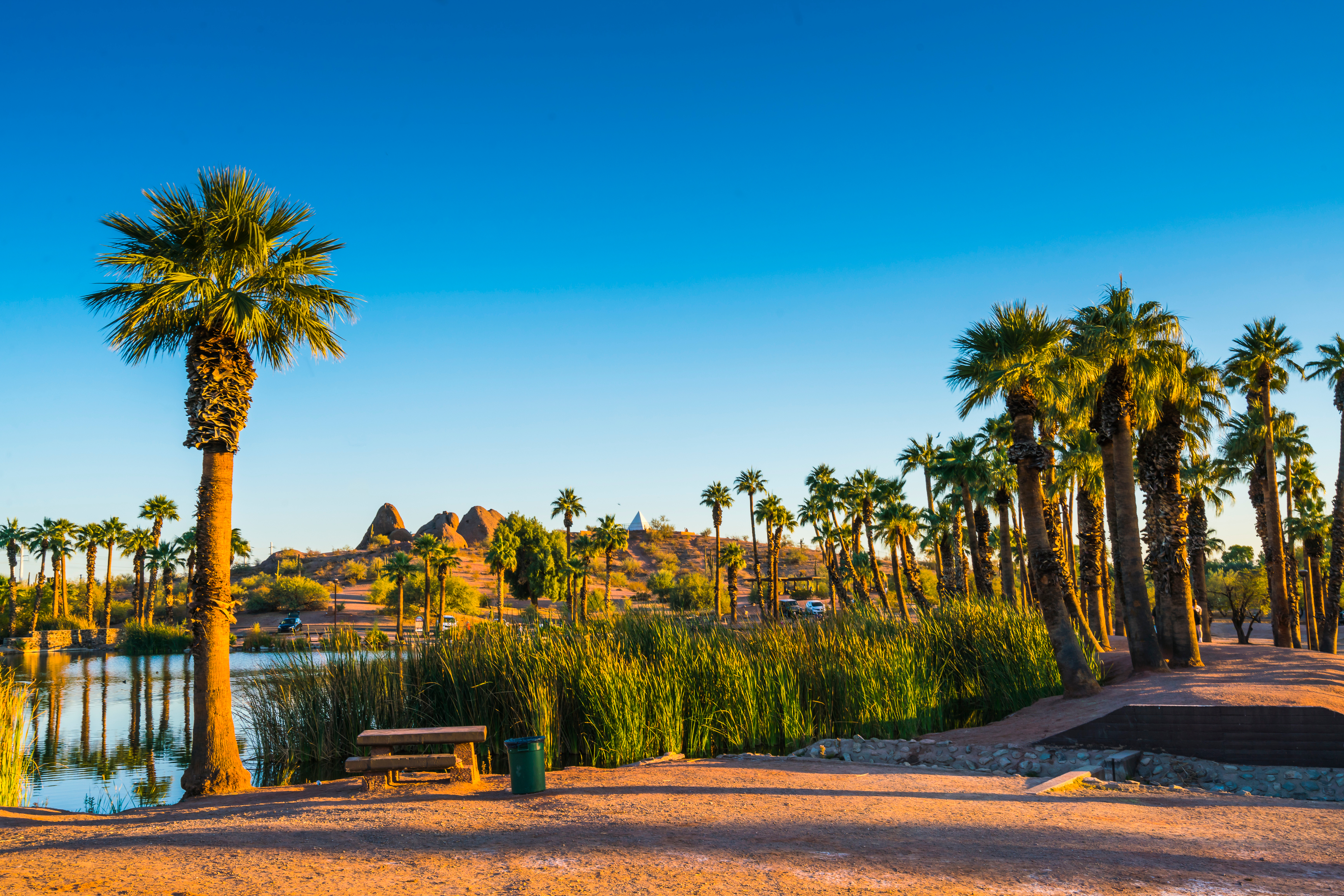 Santa Monica, San Diego & Palm Springs