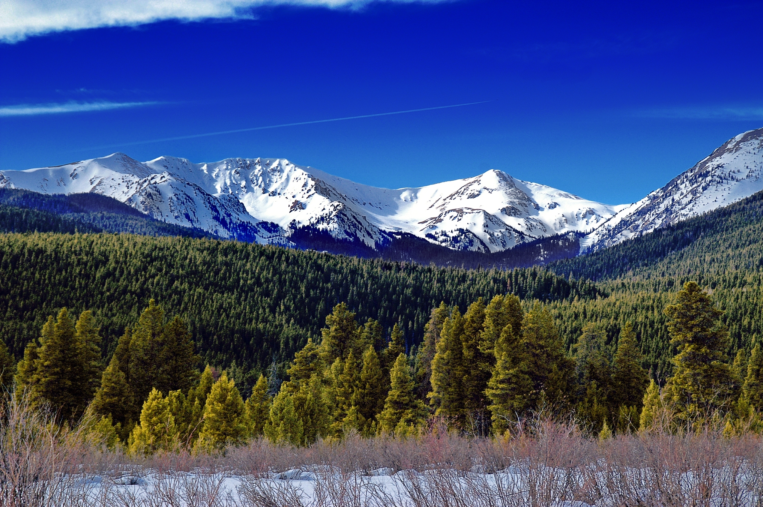 Denver & Colorado Springs Hotels