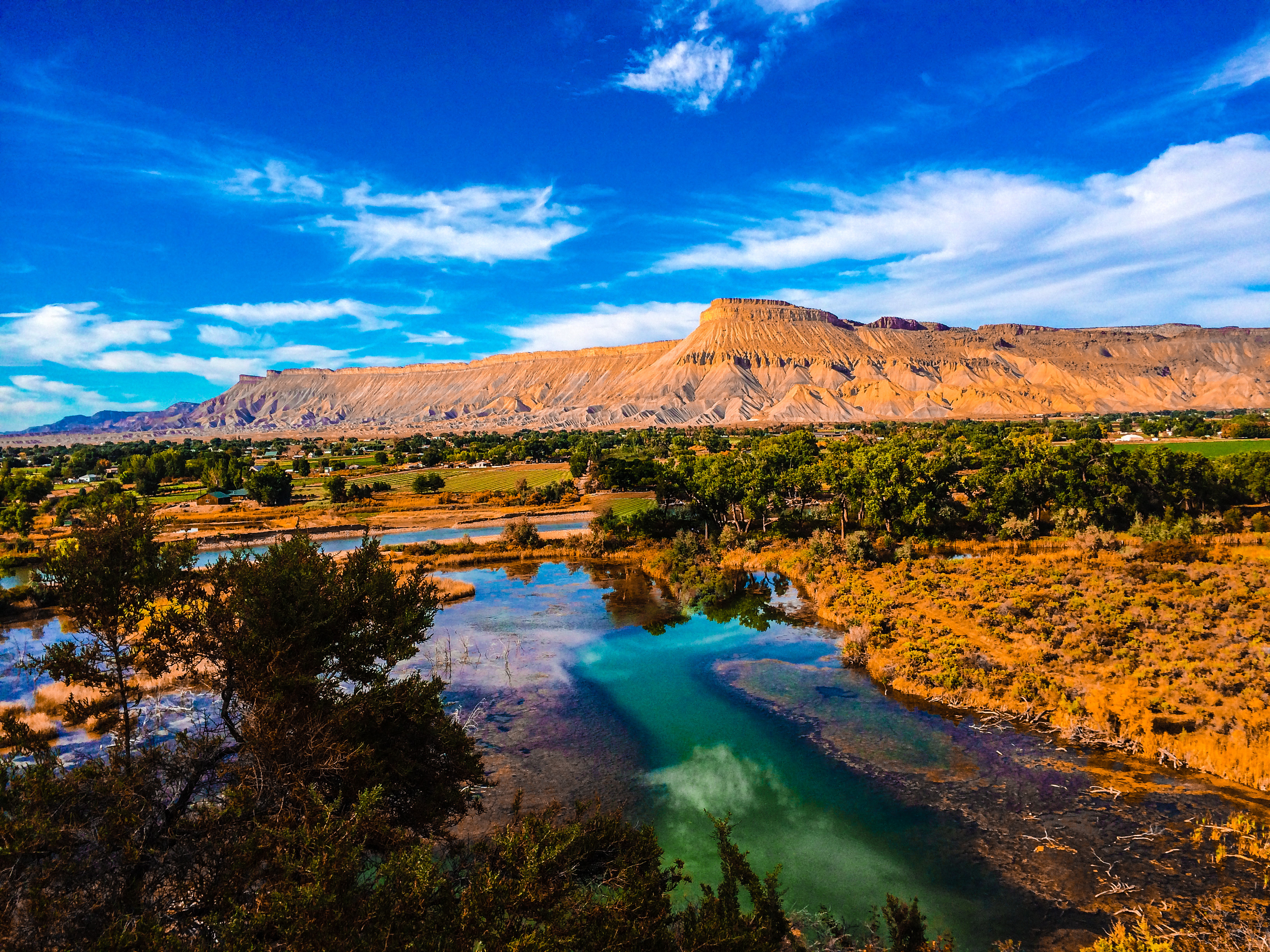 American Outback