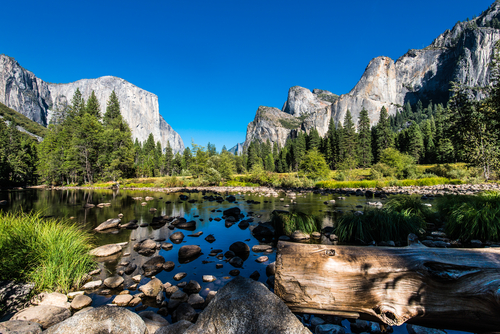 Yosemite Holidays