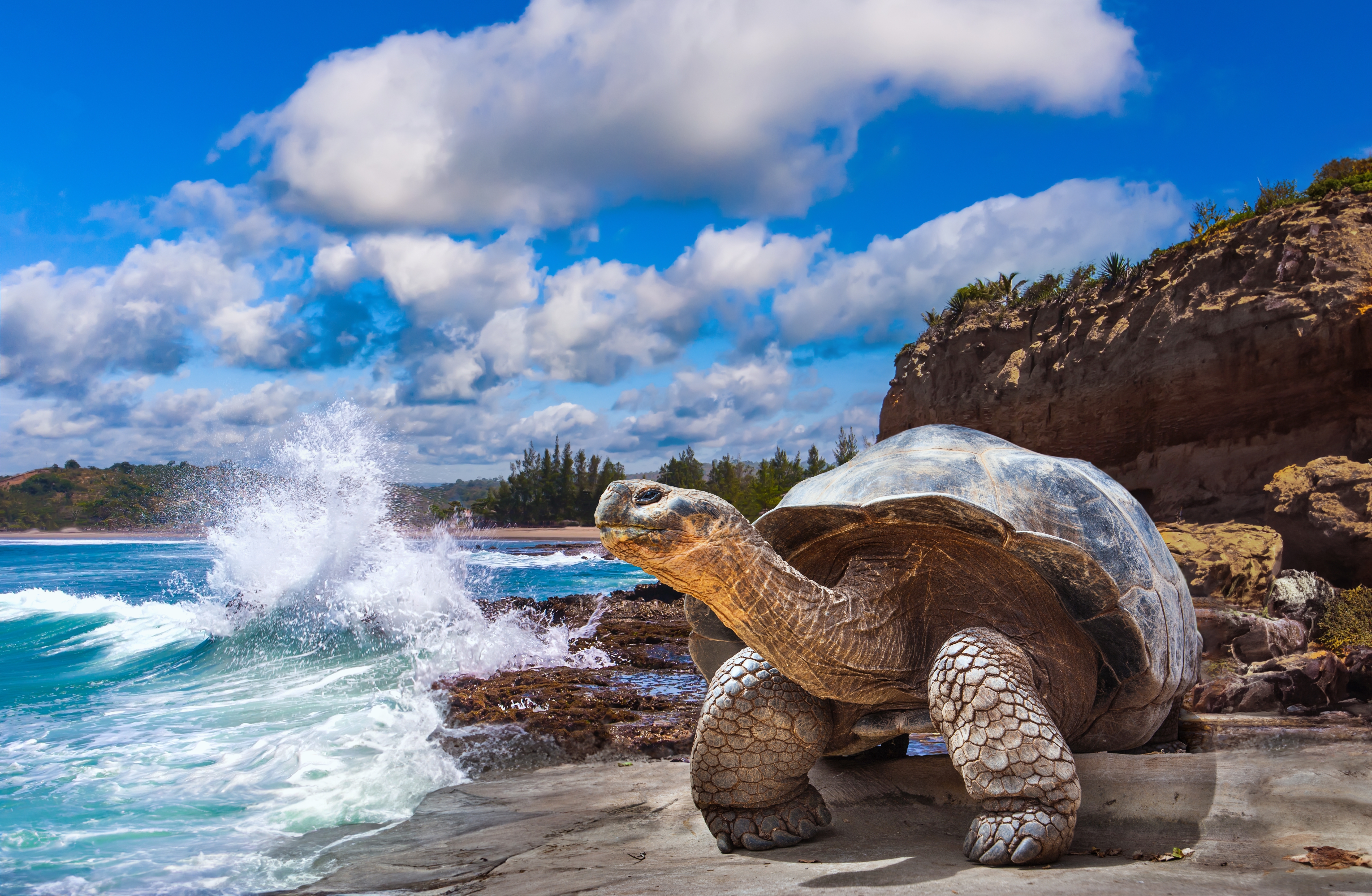 Galapagos Cruises