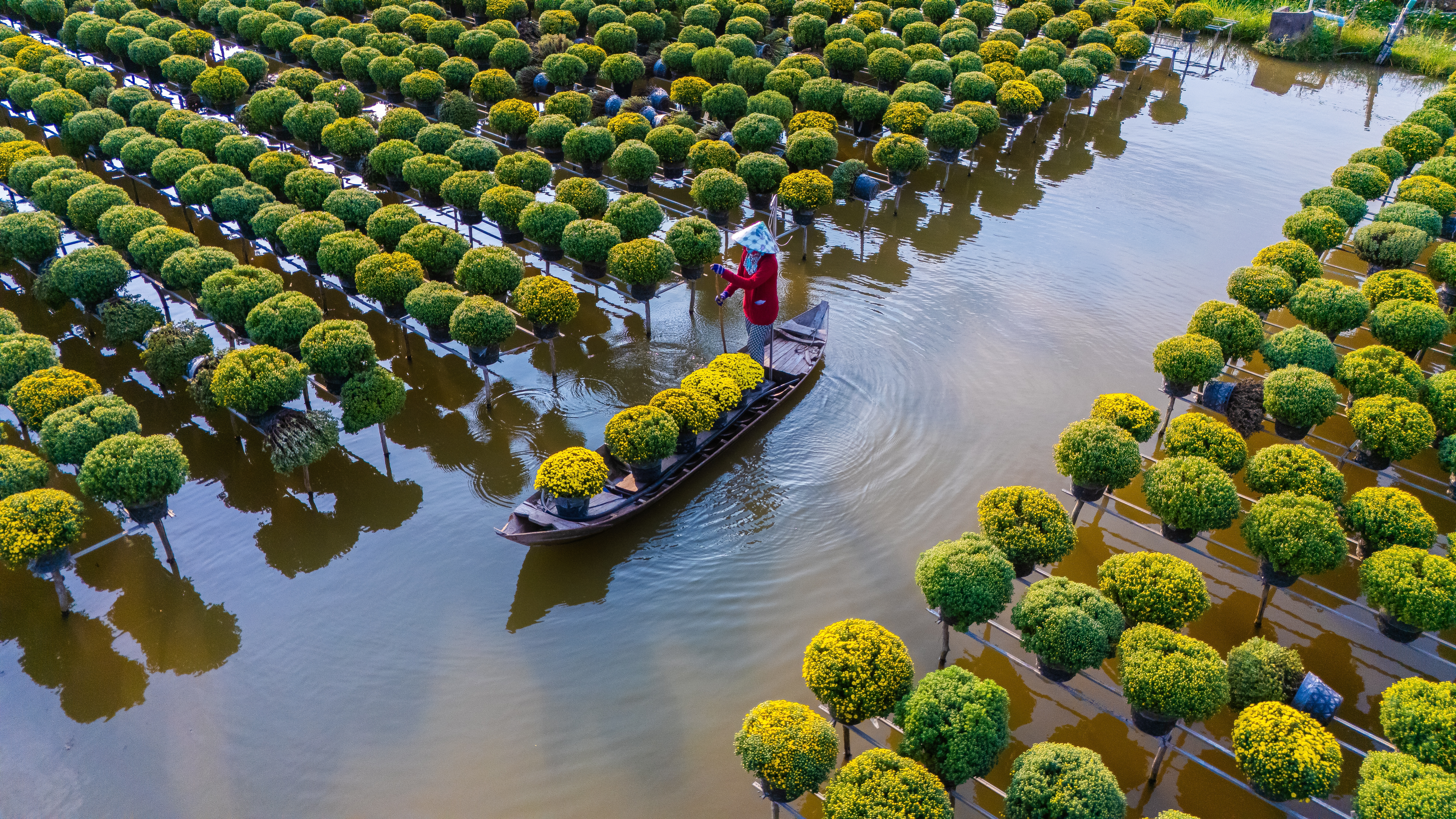 Mekong Cruises