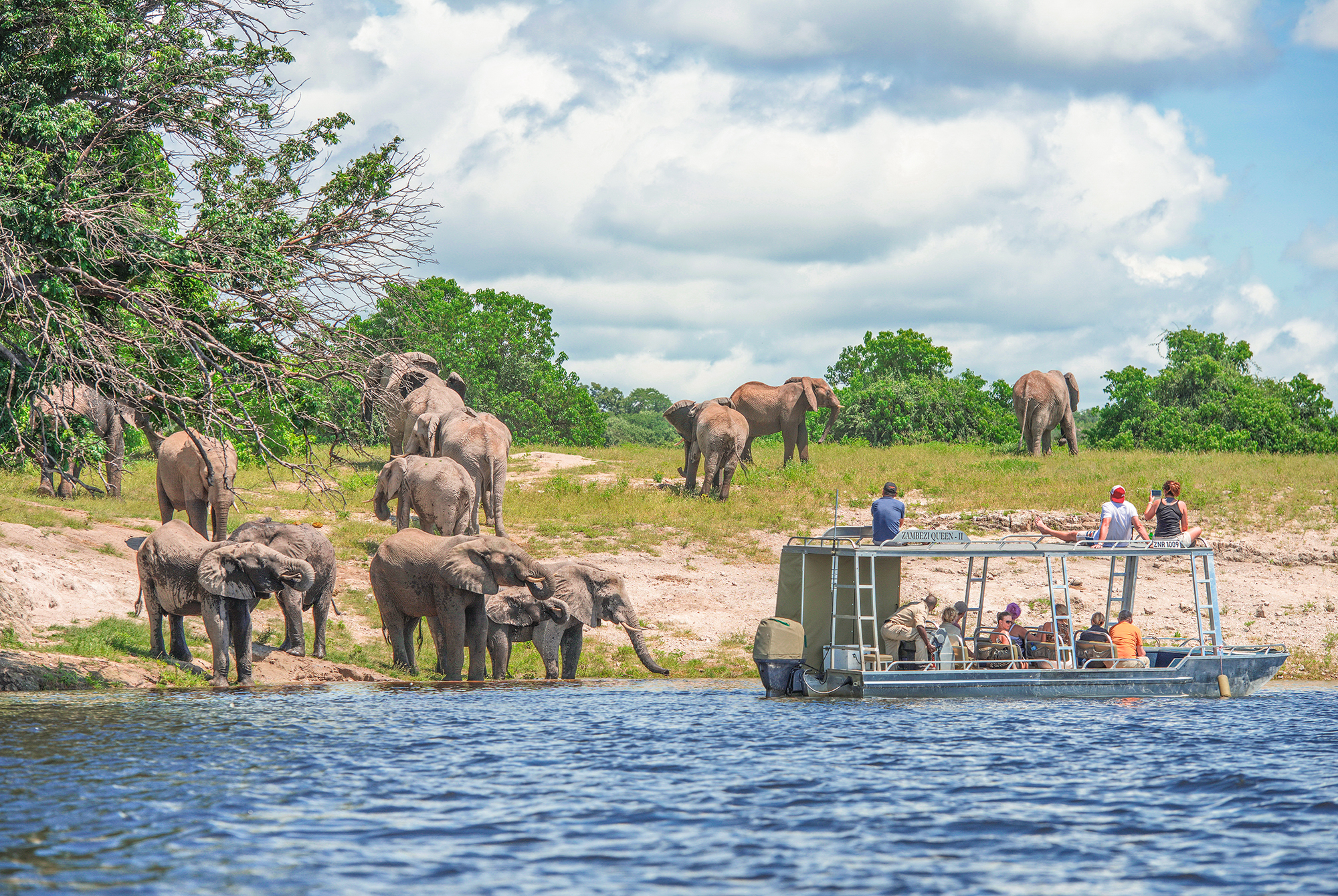Chobe River Cruises | Kenwood Travel