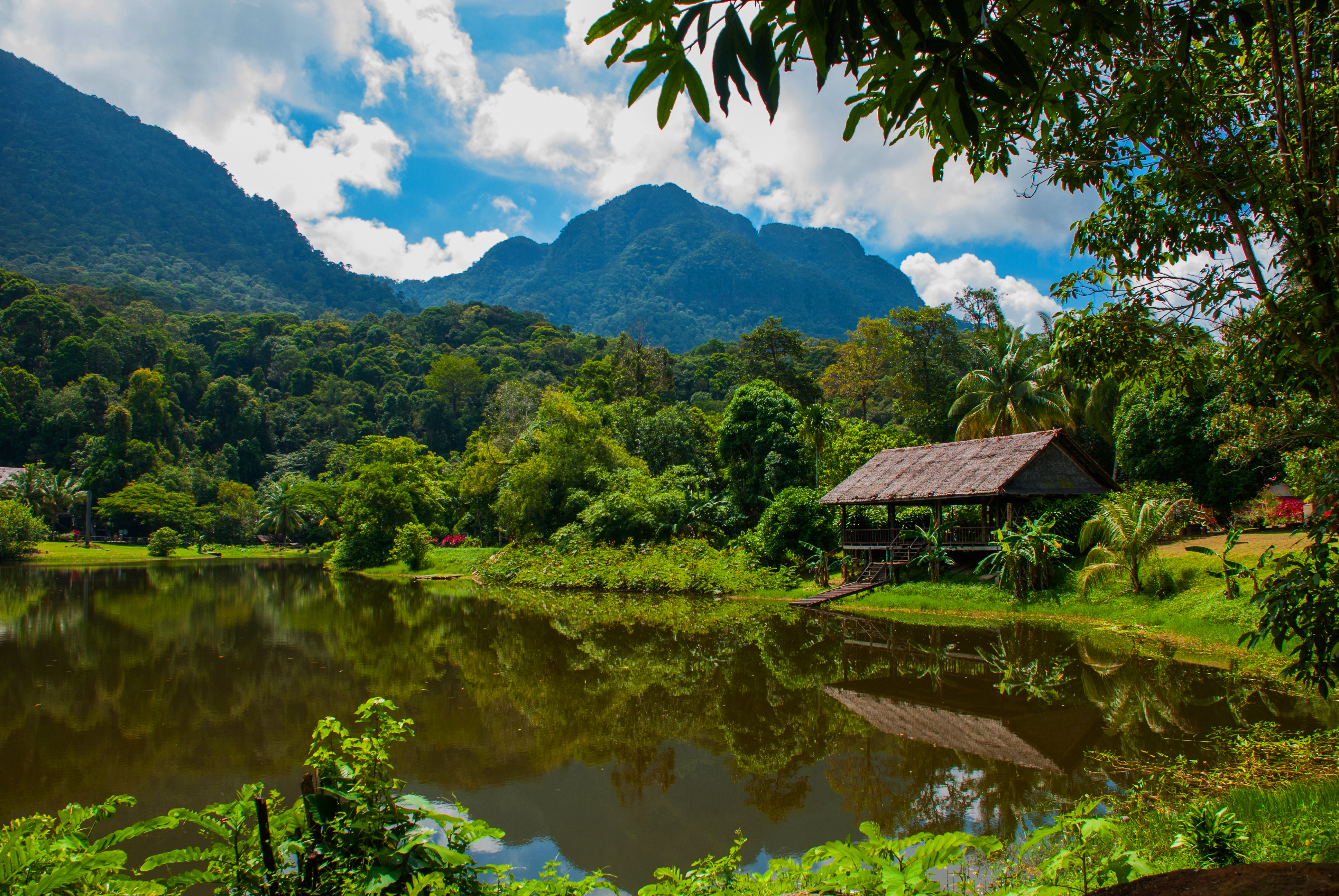 Borneo Adventure