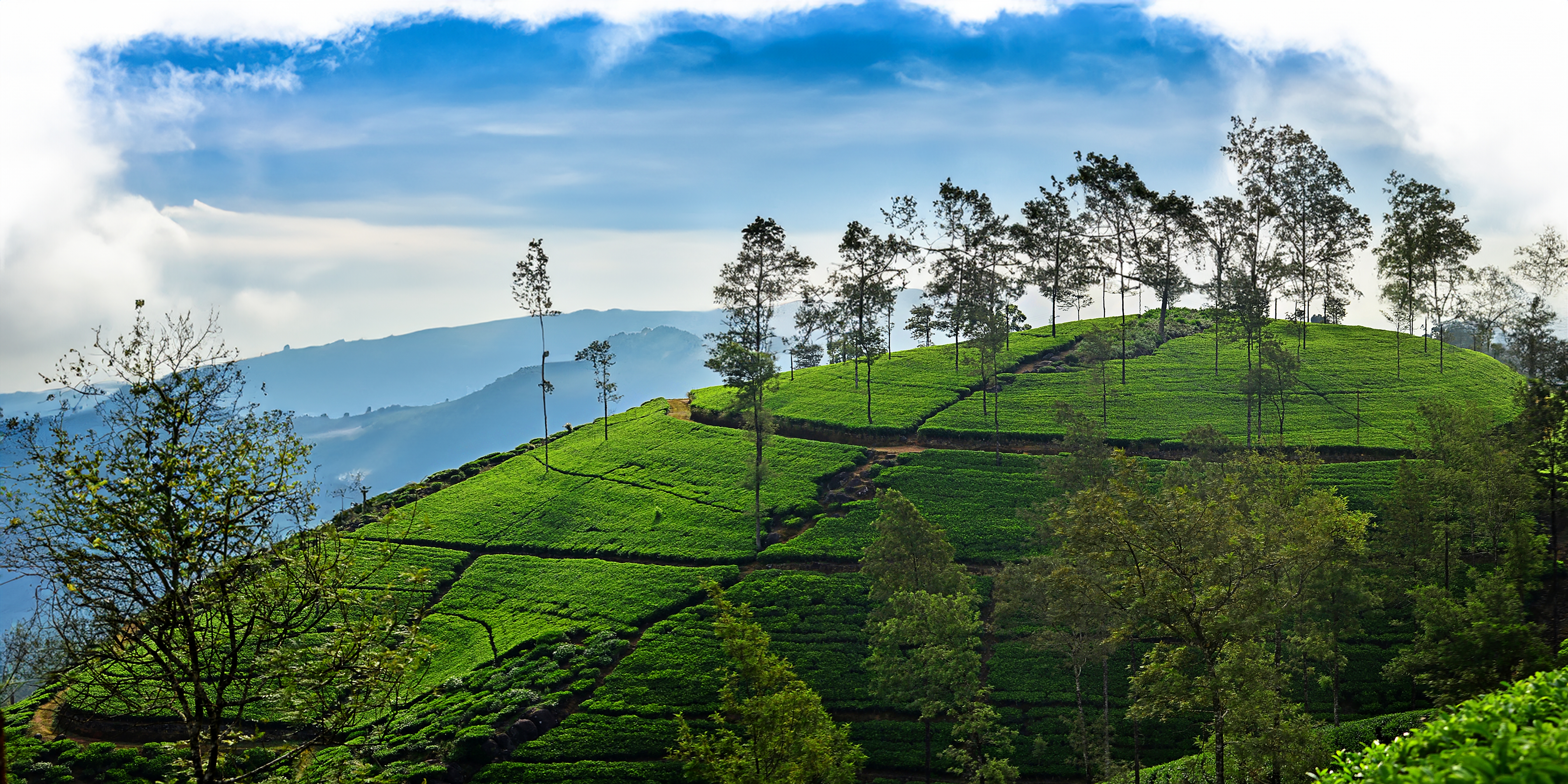 Culture & Wildlife Expedition