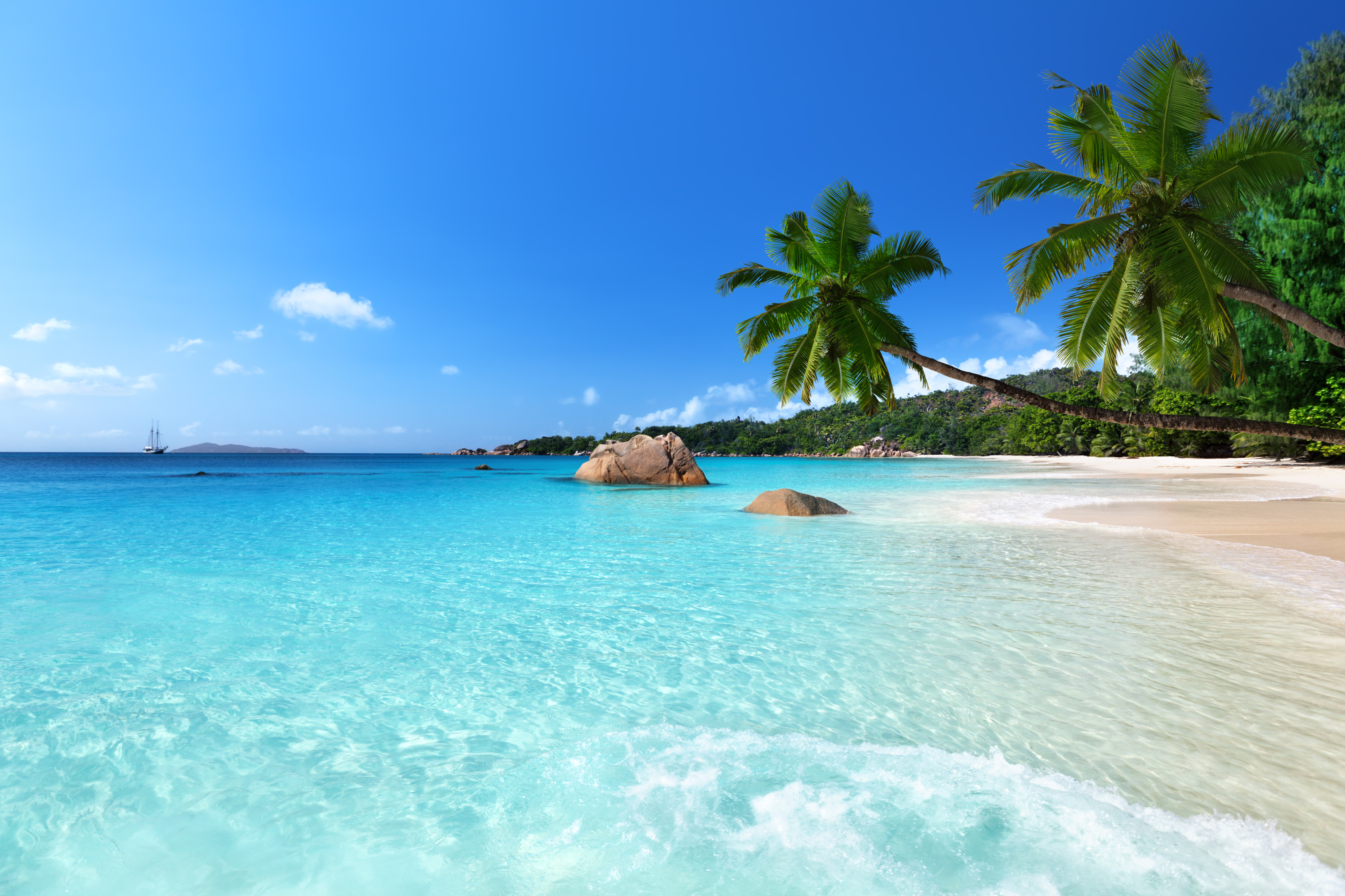 shutterstock-128142053.jpg