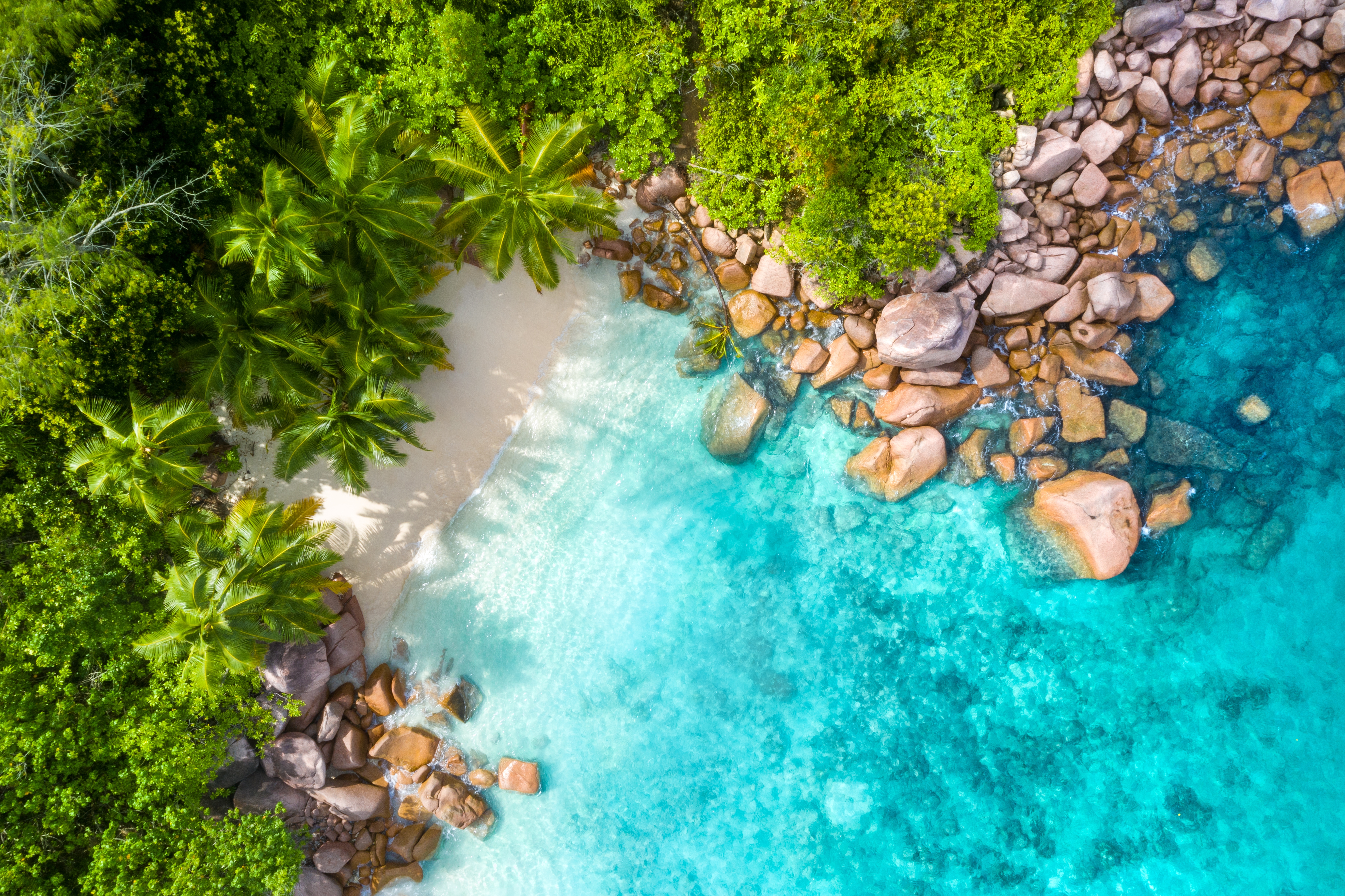 Seychelles Special Offers