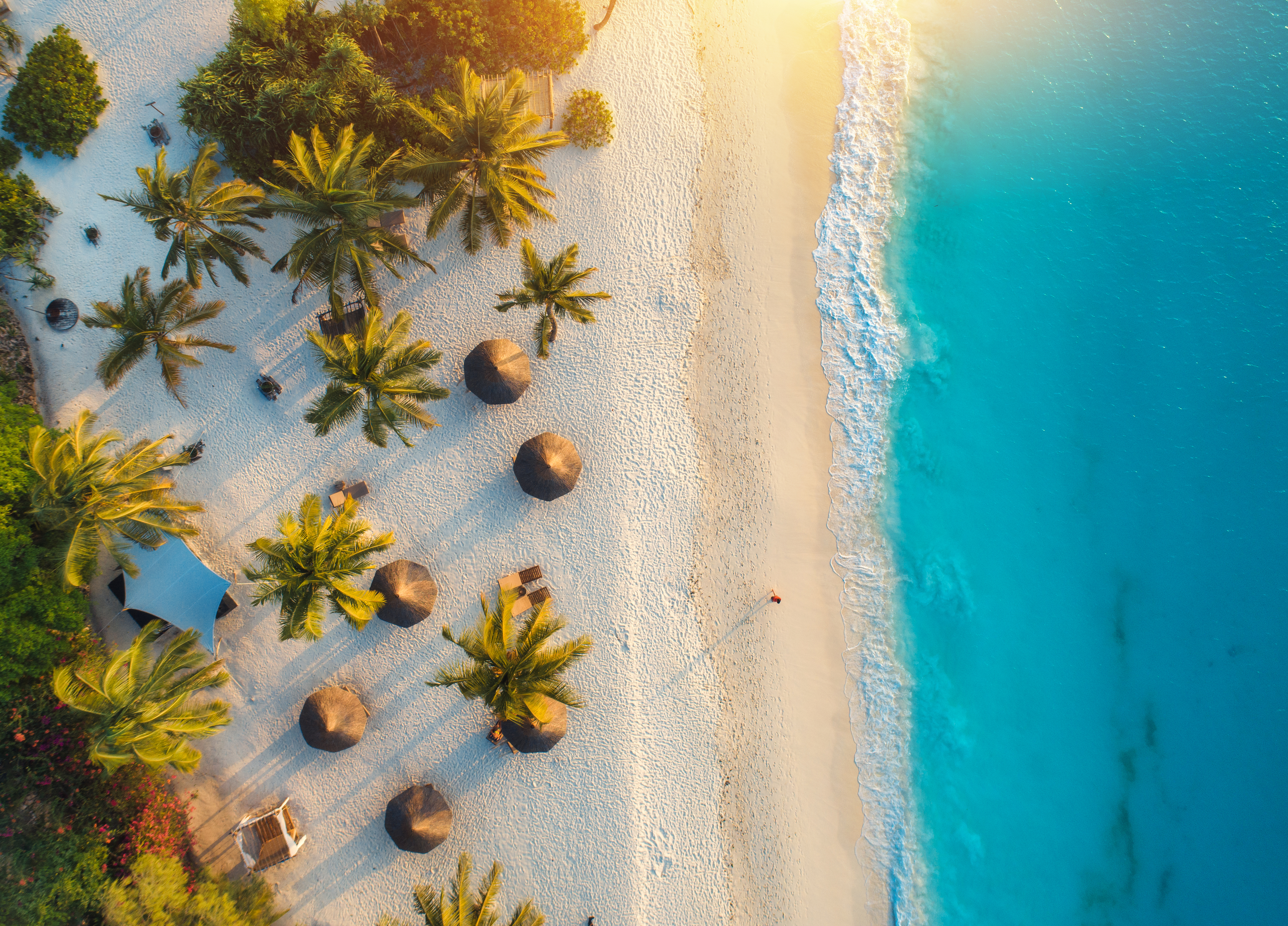 Special Offers & Travel Deals