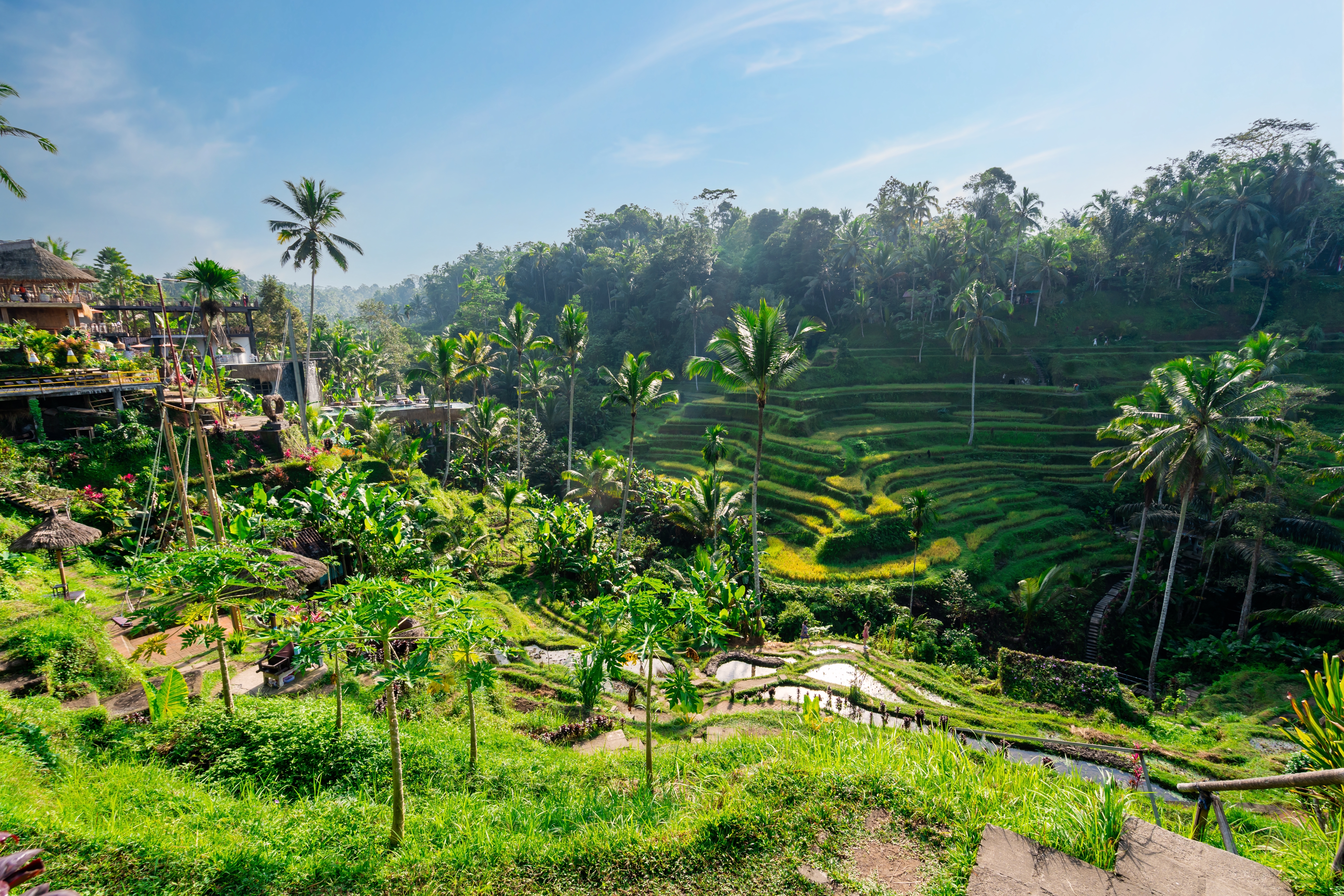 Bali Hotels