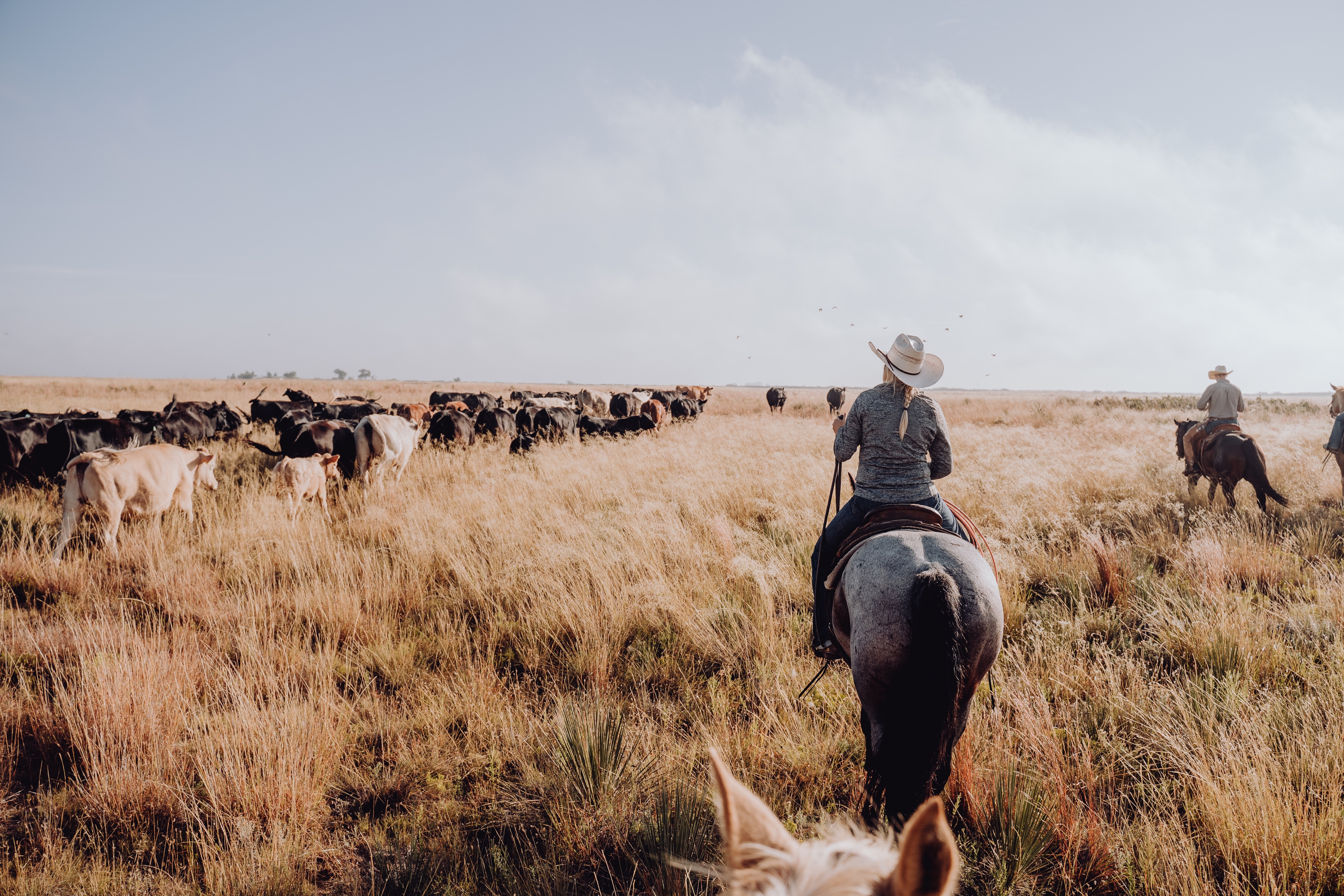Texas